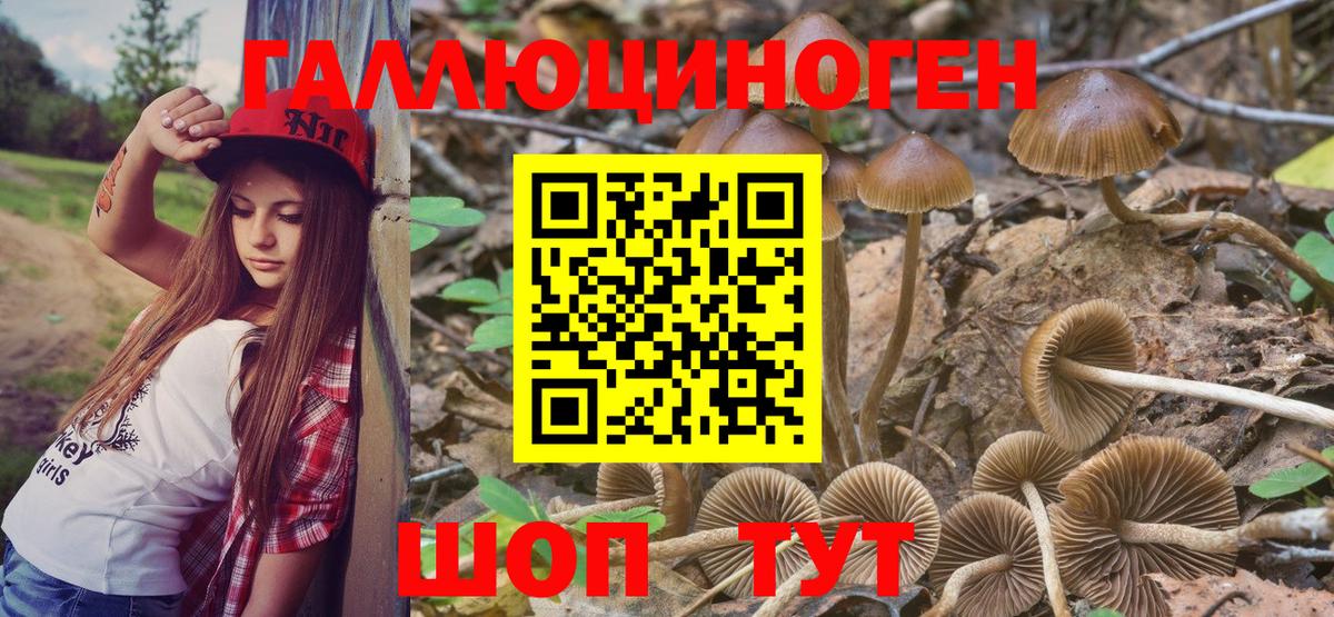 Воркута  Псилоцибиновые грибы прущие грибы  Псилоцибиновые грибы MAGIC MUSHROOMS  Вход с VPN 