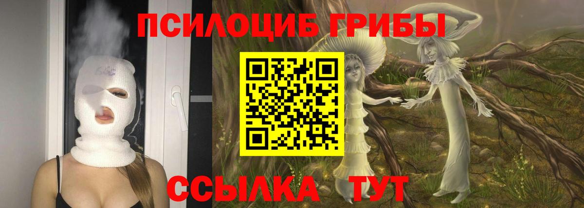 Галлюциногенные грибы мухоморы Воркута